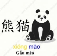 Mac Gam