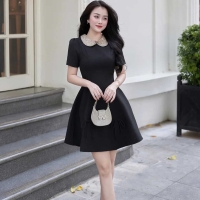 Tu Tran